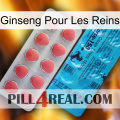 Ginseng For Kidney new14